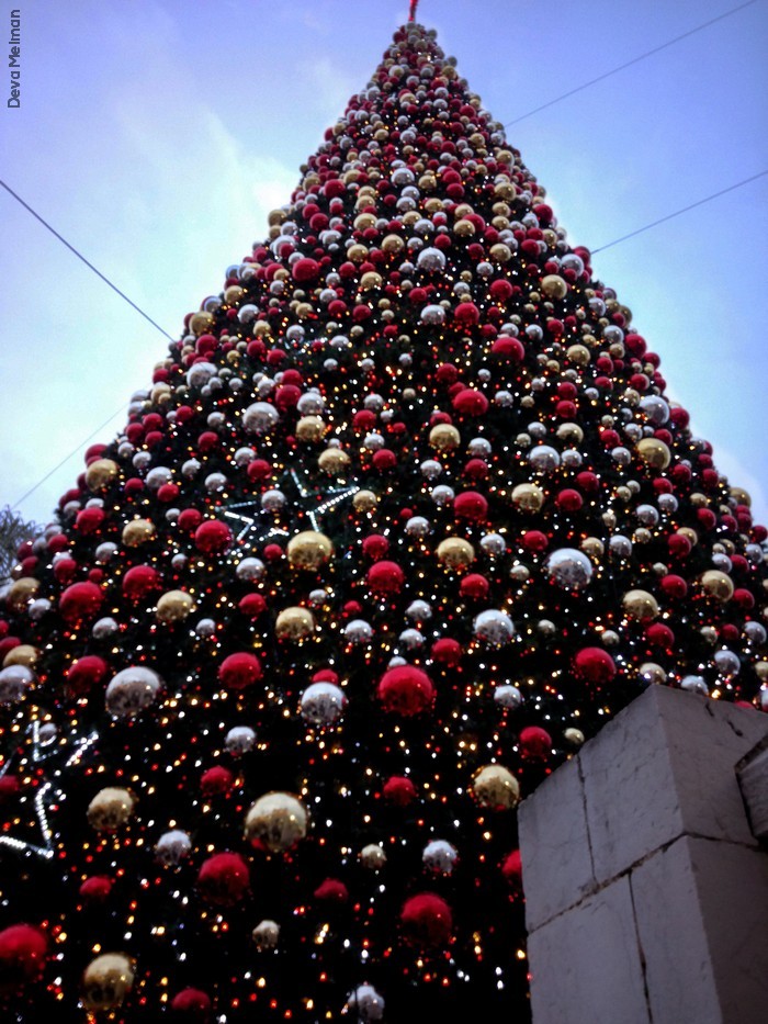 ideva-melman_chrismas-at-nazareth-2016_church-of-st-gabriel_uncoded_steps_23_00003